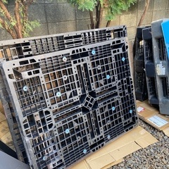 【無料】早いもの勝ち! プラスチック製 中古パレット 限定７枚 【引き取り限定 東京都中野区】の画像