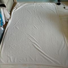 【️お譲り先決定】毛布色々の画像