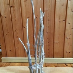 流木ランプシェードの画像