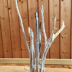 流木ランプシェードの画像