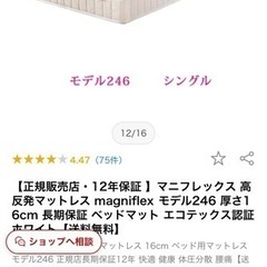 （値下げ可）マニフレックス シングル マットレス モデル246の画像