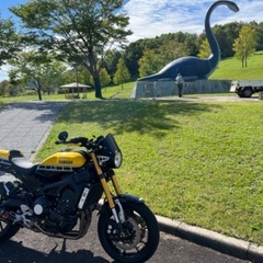 xsr900 低走行車　アニバーサリー　限定車の画像