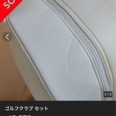 スポーツ 
スキー  