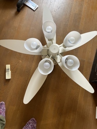 家具 照明器具LEDシーリングファンです。