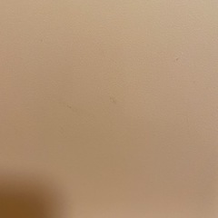 IKEA リードオース　チェア　2脚の画像