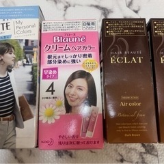 【新品未開封】ブローネ クレオディーテヘアカラー ヘアボーテ
