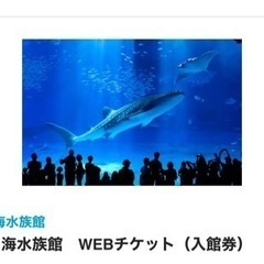 沖縄　美ら海水族館館　大人チケット2枚