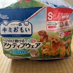 マナーウェア 犬 おむつ