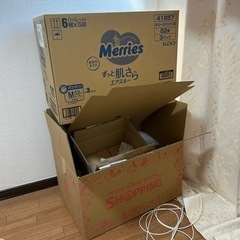 ダンボール