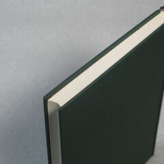 阿部泰山全集 第15巻②の画像