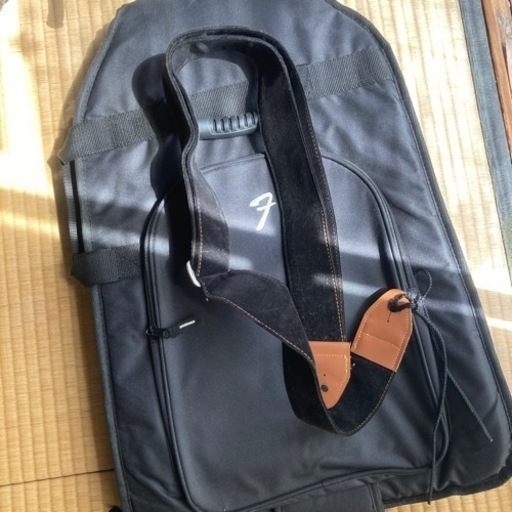 ジャンクFender ST-STD