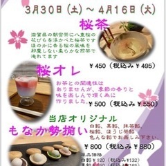 お待たせしました！春の特別メニュー提供はじめます