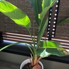 不明