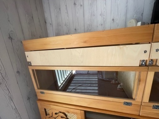 かめぢからケージ①