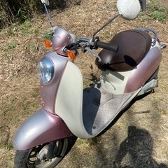 クレアスクーピー　AF55  ピンクの画像