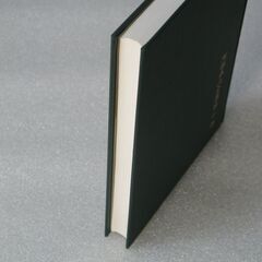阿部泰山全集 第10巻①の画像