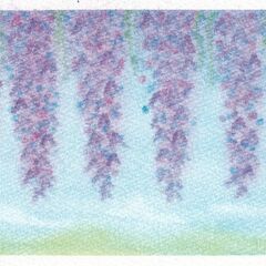 ３色パステルアート教室いろいろ　藤の花