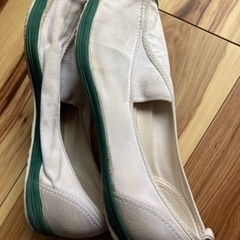 ムーンスター　26.5cm 上靴　緑ラインの画像