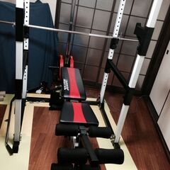 マルチパワーラック /IROTEC（アイロテック）+ プレートラックの画像