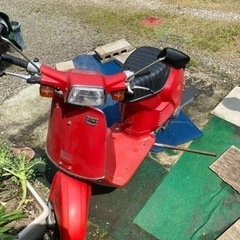 バイク ホンダ   タクト