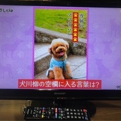 【決まりました】SHARP 液晶カラーテレビ 32V型 2014年製