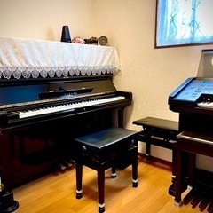 もうすぐ3歳から大人の初心者向けピアノ♪ワンレッスン制(不定期OK)の画像