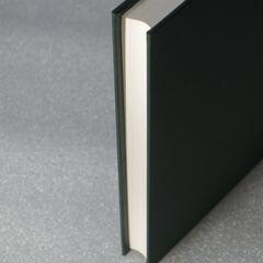 阿部泰山全集 第3巻③の画像