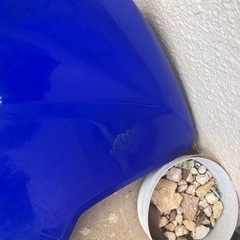 wr250r 外装の画像