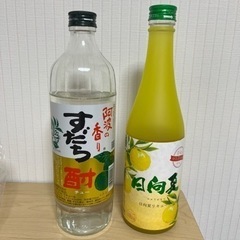 お酒 焼酎