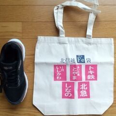 【未使用美品】Fe袋の画像