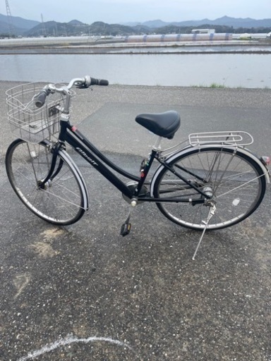 シティーサイクル　ブリヂストン　アルベルト