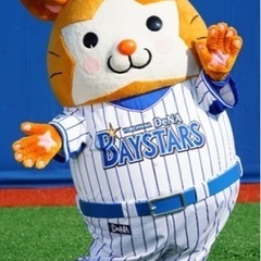 ベイスターズ好きな人‼︎