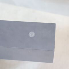 Cassina ixc.(カッシーナ イクスシー)で取り扱われていた植木 Cassina ixc.(カッシーナ イクスシー)で取り扱われていた植木