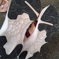 靴/バッグ 靴 スニーカーの画像