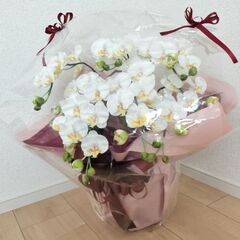胡蝶蘭　造花