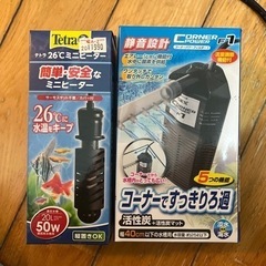 グッピー　メダカ　ネオンテトラ　水槽セットの画像