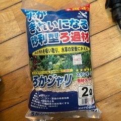 グッピー　メダカ　ネオンテトラ　水槽セットの画像