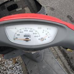 ライブディオチェスタ　原付　スクーターの画像