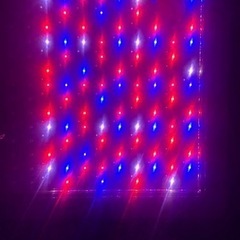 SODATECK植物育成LEDライトの画像