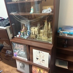 フィギュアラック　本棚