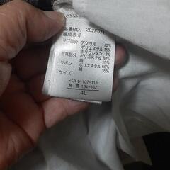 服/大きめ 重ね着風レディースの画像