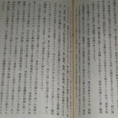 阿部泰山全集 第9巻①の画像