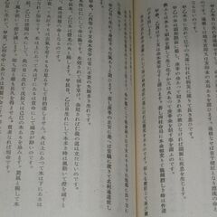 阿部泰山全集 第9巻①の画像