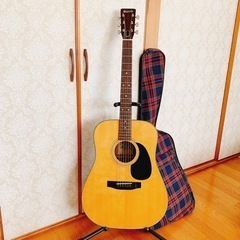 【決まりました】Morris W-15 モーリス アコースティッ...