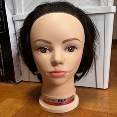 半額以下！洗える巻ける3万円越えウィッグ 美容院にてカット済み