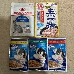 猫　ごはん　おもちゃグッツ
