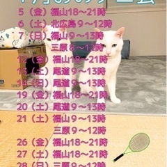 ４月おのテニ会（尾道ソフトテニスの会）2024 - 尾道市