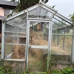 温室譲ってください