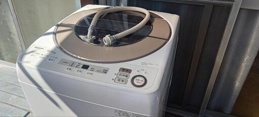 家電 生活家電 洗濯機