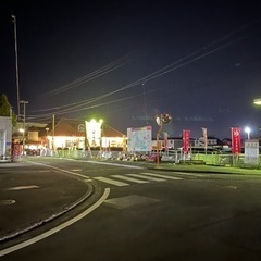 夜散歩できる方募集します！